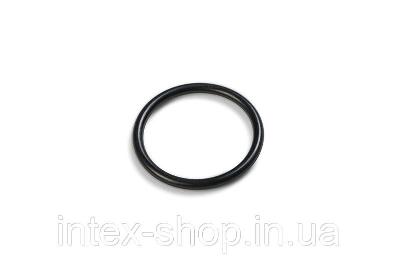 Ущільнювач Intex 10712 до пісочного фільтр насоса