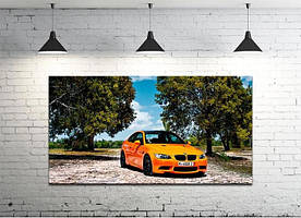 Картина на полотні на стіну для інтер`єру/спальні/прихожої DK BMW (DKP4560-M806) 50х100 см