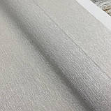 Шпалери вінілові на флізеліновій основі сіро-бежевий Rasch Sky Lounge 1,06 х 10,05м (978414), фото 3