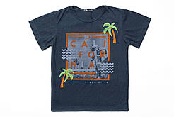Бавовняна футболка для хлопчика з принтом та вишивкою Смайл Тайм SmileTime California Ocean Drive