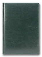 Щоденник недатований Brisk SARIF 3B-63 (Бріск) (темно-зелений)