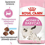 Сухий корм Royal Canin MOTHER BABYCAT для кошенят 10кг, фото 2