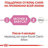 Сухий корм Royal Canin MOTHER BABYCAT для кошенят 10кг, фото 3