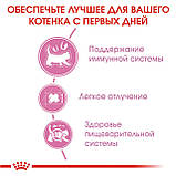 Сухий корм Royal Canin MOTHER BABYCAT для кошенят 10кг, фото 5
