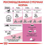 Сухий корм Royal Canin MOTHER BABYCAT для кошенят 10кг, фото 6