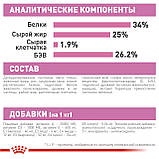 Сухий корм Royal Canin MOTHER BABYCAT для кошенят 10кг, фото 7