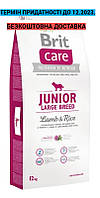 Brit Care Junior Large Breed Lamb & Rice Бріт кеа Джуніор з ягням для цуценят, 12 кг