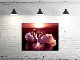Картина на полотні на стіну для інтер`єру/спальні/прихожої DK Лебеді (DKP4560-z3)