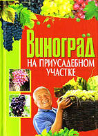 Виноград на приусадебном участке