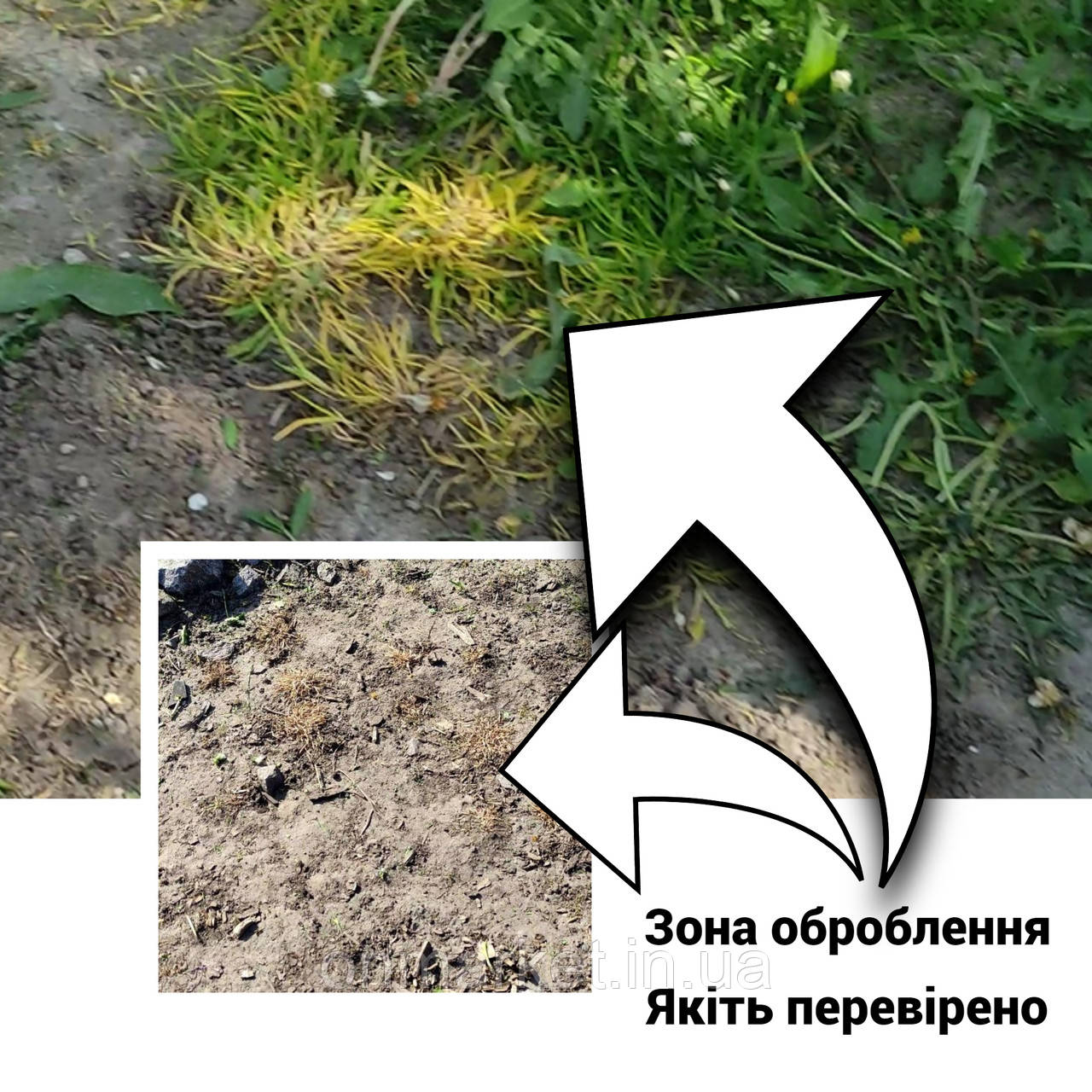 Купить Глифовит/РАУНДАП 20л Бесплатная доставка! На почте платите ...