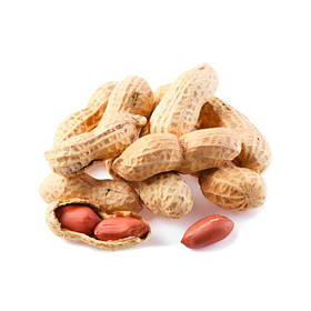 Насіння арахісу