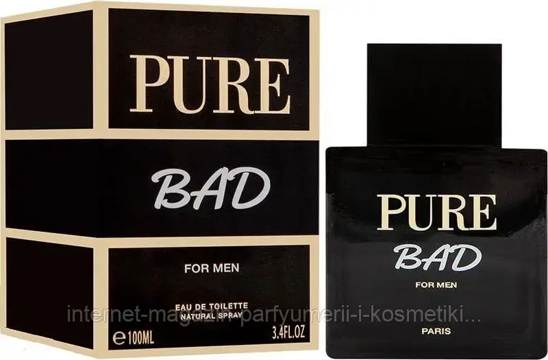 Туалетна вода для чоловіків Karen Low  Pure Bad 100ml