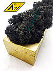 Стабілізований мох у кашпо Gold-Black, фото 2