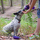 Пляшка подвійна для води зі складаною мискою PET DRINK BOTTLE | Похідна пляшка для собак | Миска для прогулянок, фото 10