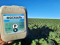 Фосфор Калій (Фоскаль). Мікродобриво (Фоскаль).  Добриво "Фоскаль". [Фоскаль Лайф Біохем]. Тара 10., фото 4