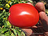 Томат П'єтра Росса F1 100 насінин, фото 3