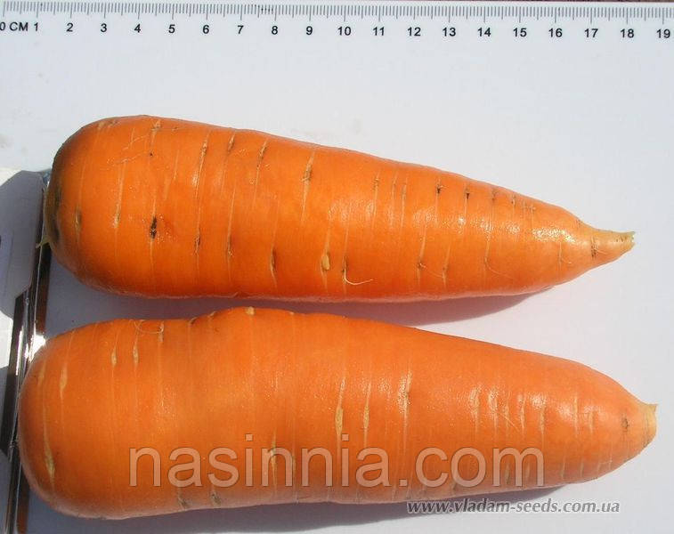 ШАНТАНЕ, 0,5 кг