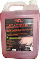 Активная пена Red active foam (5 л) ТМ Galchemy