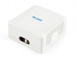 Розетка NCAC-2F5E-01, з мережевим роз'ємомі категорії 5Е