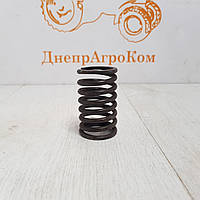Пружина клапана Д 243,245,260 зовнішня (вир-во Білорусь) 240-1007045-А1