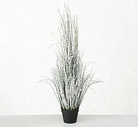 У Нас: Декоративное растение (трава) в горшке h116см Гранд Презент 1015610 -OK