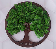 У Нас: Дерево Щастя з мохом Гранд Презент 100-2 беж -OK