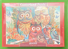 Пазли Сови 2000 елементів. Castorland 200535