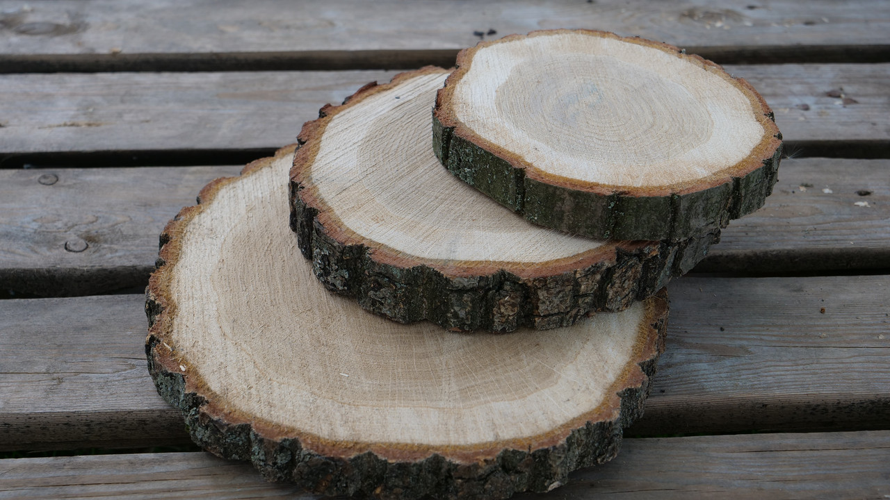 Спили дерева Дуб до 40 см Сухі, фото 1