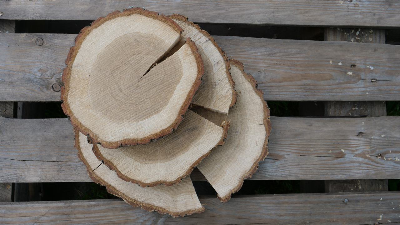 Спил дерев'яний Дуб сухий, з тріщиною, фото 1