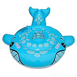 Дитячий надувний плотик Intex 57527 Кіт (160х152 см) Синій, фото 3