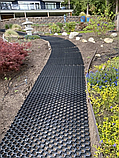 Модуль геопокриття пластиковий HexPave чорний, фото 3