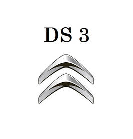 DS 3