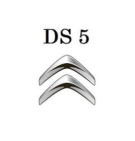 DS 5
