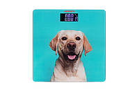ARDESTO Весы напольные DOG, 150кг, 2хААА в компл, стекло, разноцветные Baumar - Знак Качества