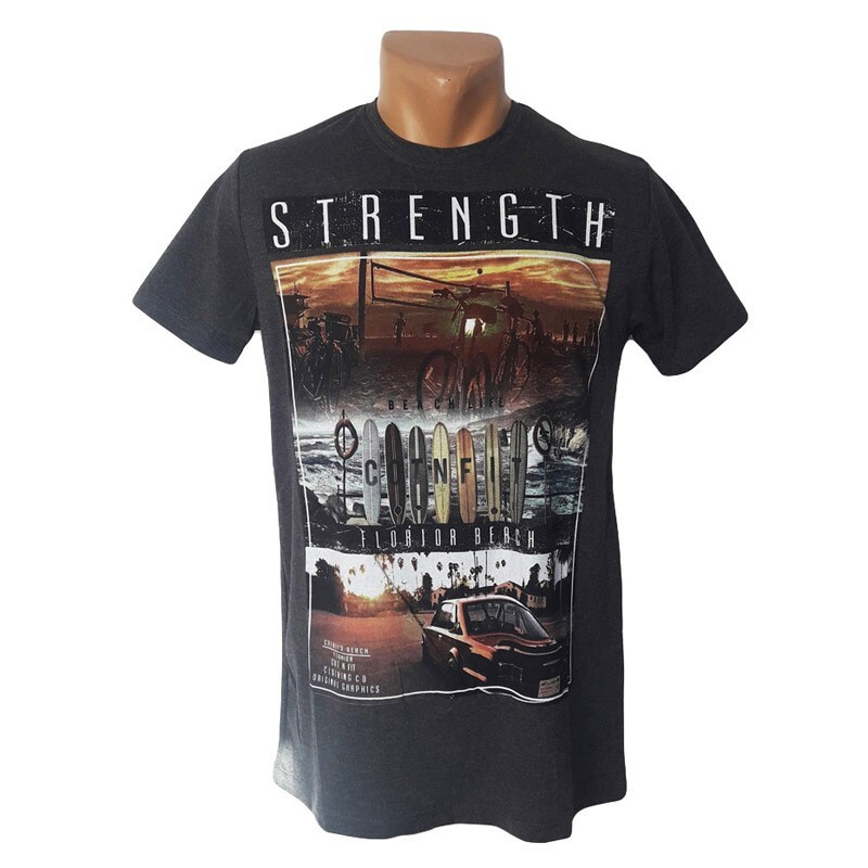 Чоловіча футболка Highlander сірого кольору з яскравим принтом, фото 1