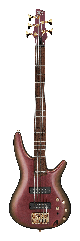 5-струнна бас-гітара IBANEZ SR305EDX RGC