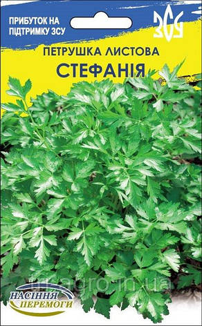 Петрушка листова Стефанія 20г (НУ), фото 1