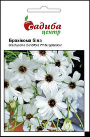 Бракіхома біла 0,1г СЦ