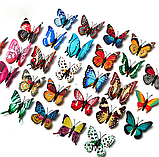 Флуоресцентніий метелик 3D наліпка на стіну декор кімнати , DIY 8 см, w-000363 акційна пропозиція, фото 3