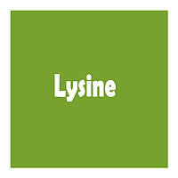 Лізин (Lysine)