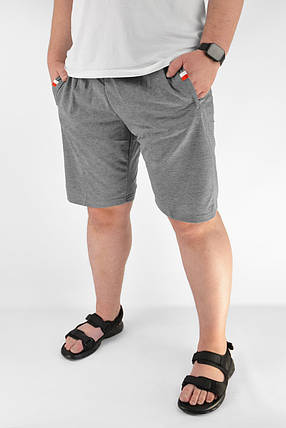 Шорти чоловічі трикотажні зі змійками на кишенях Бриджі чоловічі на (Угорщина) TOVTA Сірий колір M, фото 1