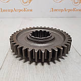 Шестірня МТЗ КПП 2-й щабель відома редуктора  ⁇  Z = 37  ⁇  50-1701314, фото 3