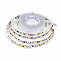 Светодиодная LED лента PROLUM 12V; 2835\120; IP20; Series "PRO", Тепло-Белый (2800-3200K)