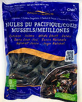 Мідії в мушлі