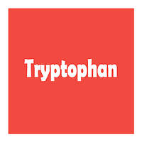 Триптофан (Tryptophan)