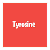 Тирозин (Tyrosine)