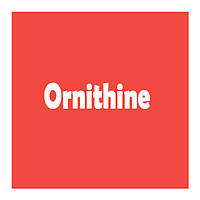Орнитин (Ornithine)