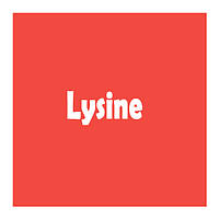 Лизин (Lysine)