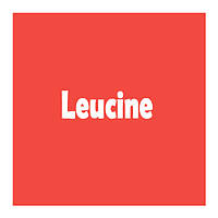 Лейцин (Leucine)