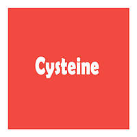 Цистеин (Cysteine)